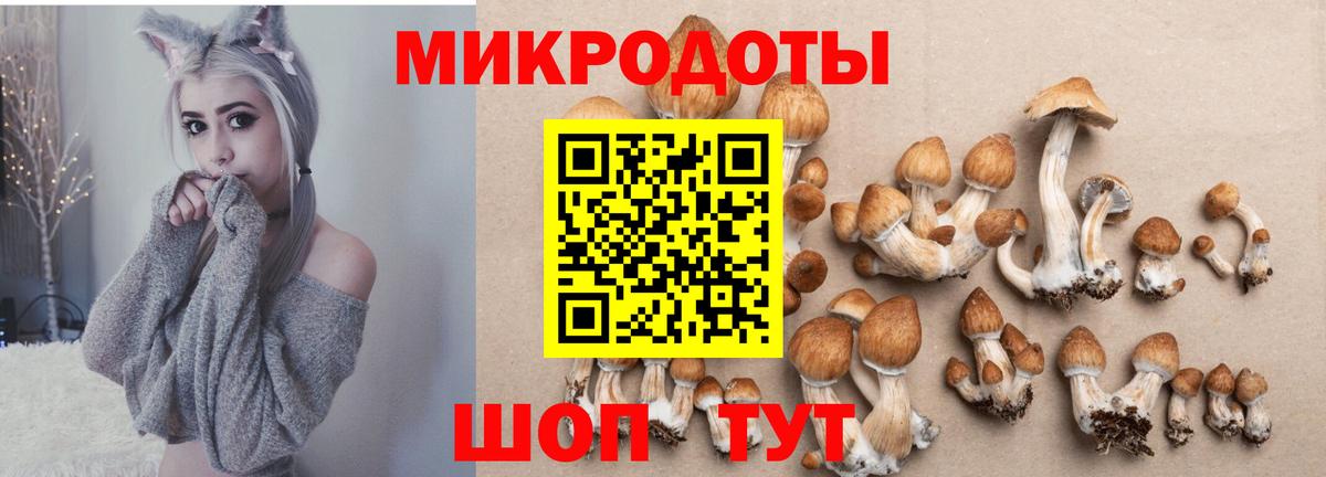 Нижний Тагил  Псилоцибиновые грибы прущие грибы  Галлюциногенные грибы Psilocybe  Вход с VPN 